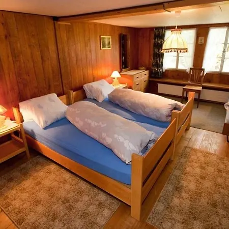 45 Zimmer Ferienwohnung Hofstatthaus Hasliberg